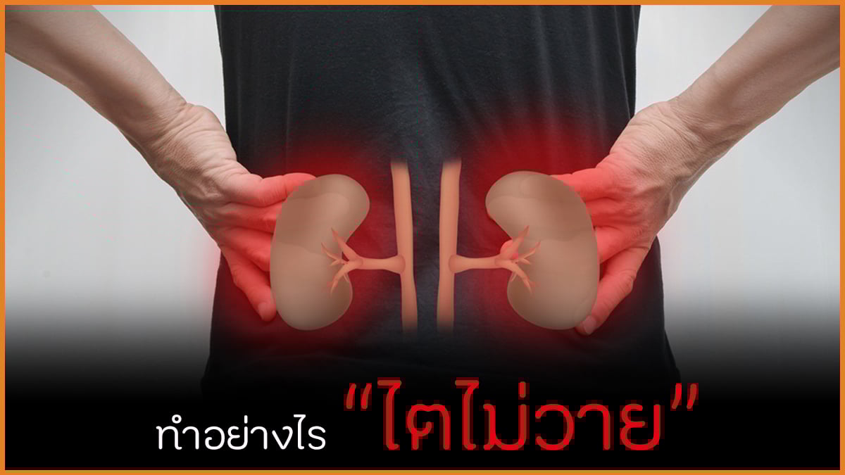 ทำอย่างไร ไตไม่วาย thaihealth