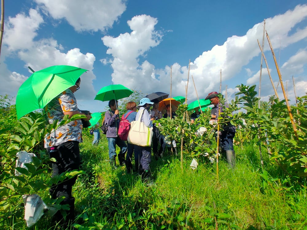 สวนสามพราน-สามพรานโมเดล จุดประกายท่องเที่ยววิถีอินทรีย์ thaihealth