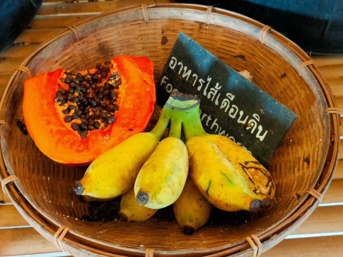 สวนสามพราน-สามพรานโมเดล จุดประกายท่องเที่ยววิถีอินทรีย์ thaihealth