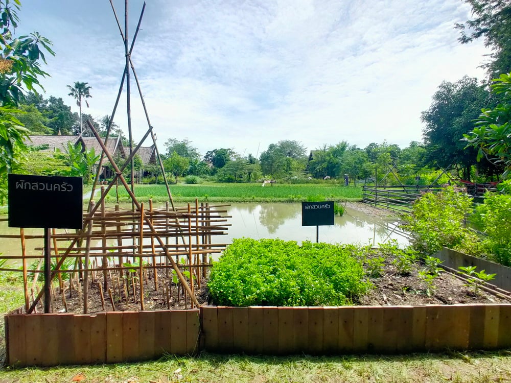 สวนสามพราน-สามพรานโมเดล จุดประกายท่องเที่ยววิถีอินทรีย์ thaihealth