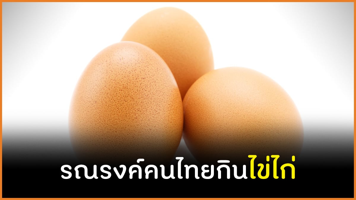 รณรงค์คนไทยกินไข่ไก่ thaihealth