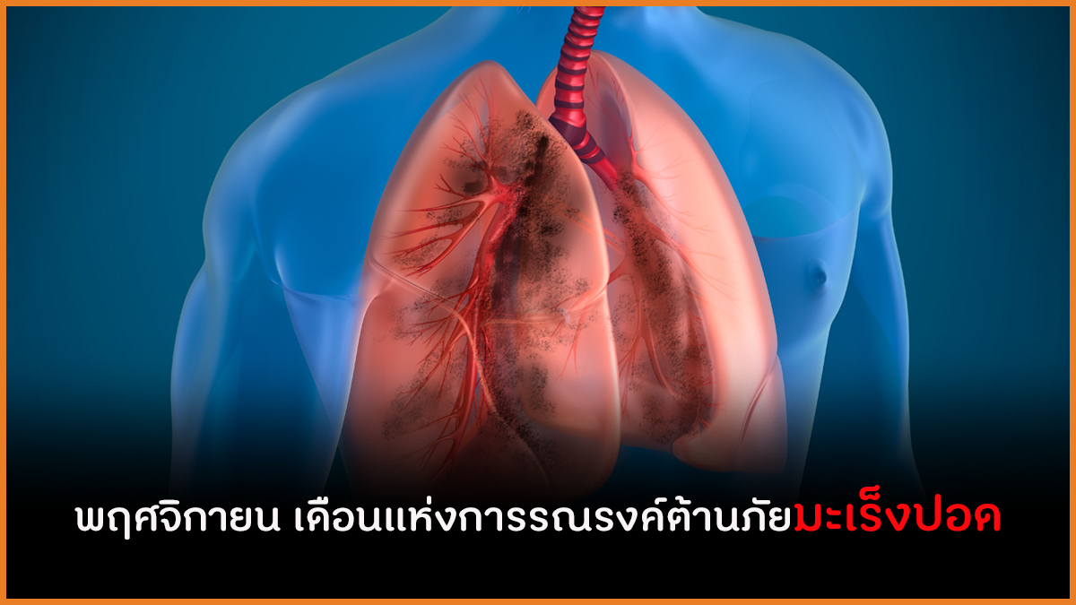 พฤศจิกายน เดือนแห่งการรณรงค์ต้านภัยมะเร็งปอด thaihealth