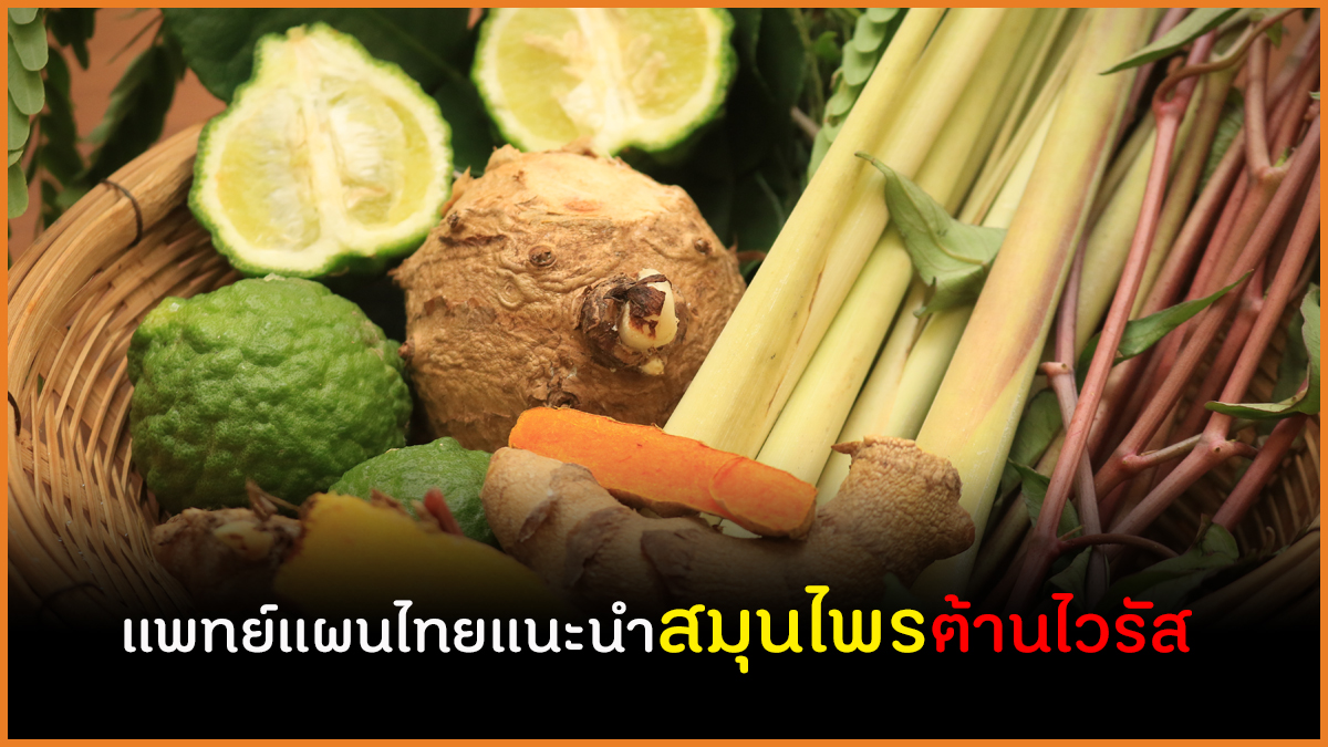 แพทย์แผนไทยแนะนำสมุนไพรต้านไวรัส thaihealth