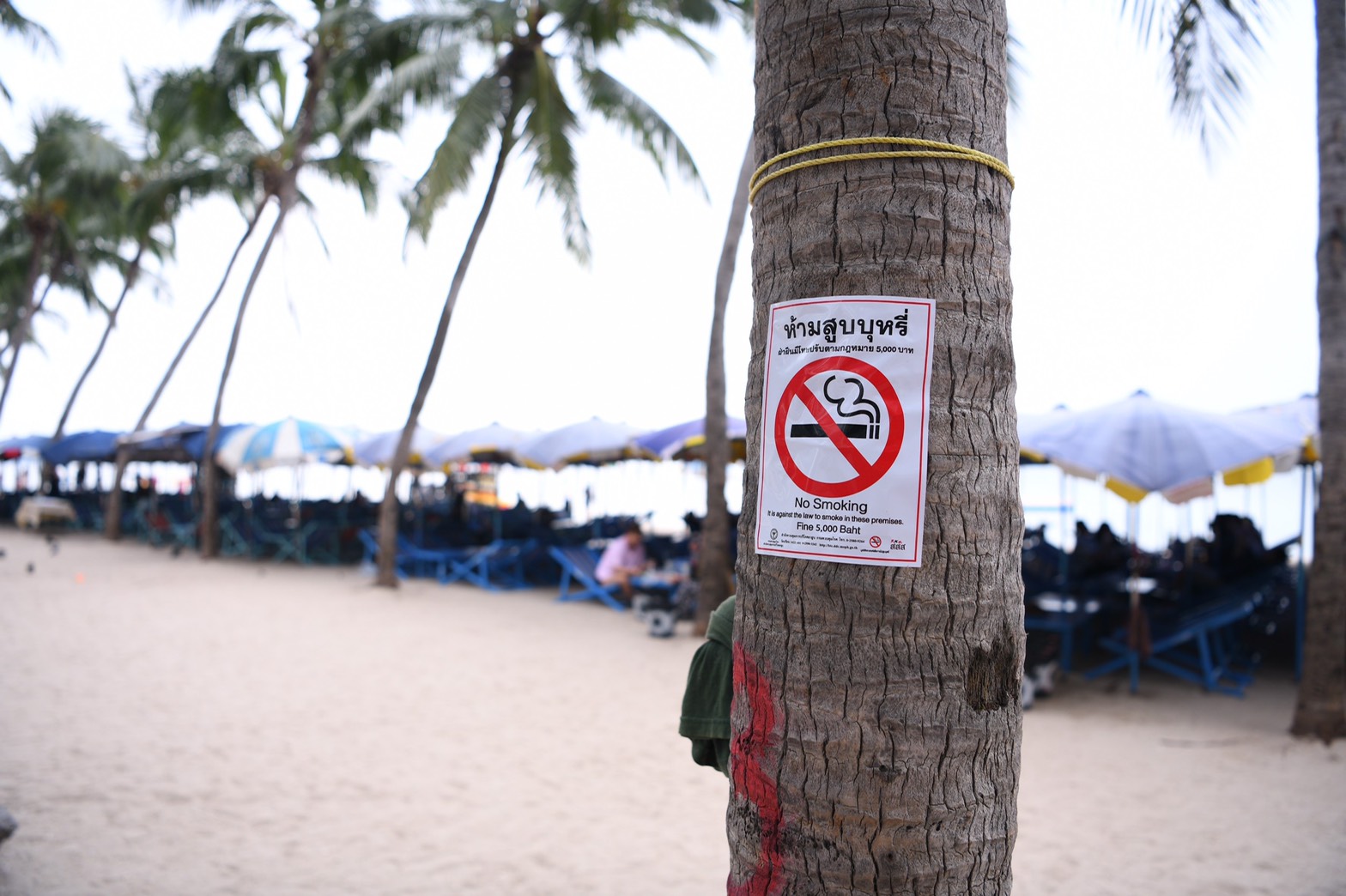 หาดบางแสน แหล่งท่องเที่ยวต้นแบบลดปัจจัยเสี่ยง thaihealth