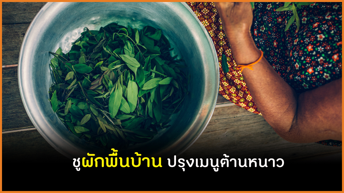 ชูผักพื้นบ้าน ปรุงเมนูต้านหนาว thaihealth