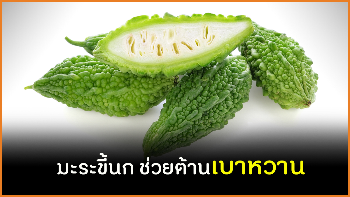 มะระขี้นก ช่วยต้านเบาหวาน thaihealth
