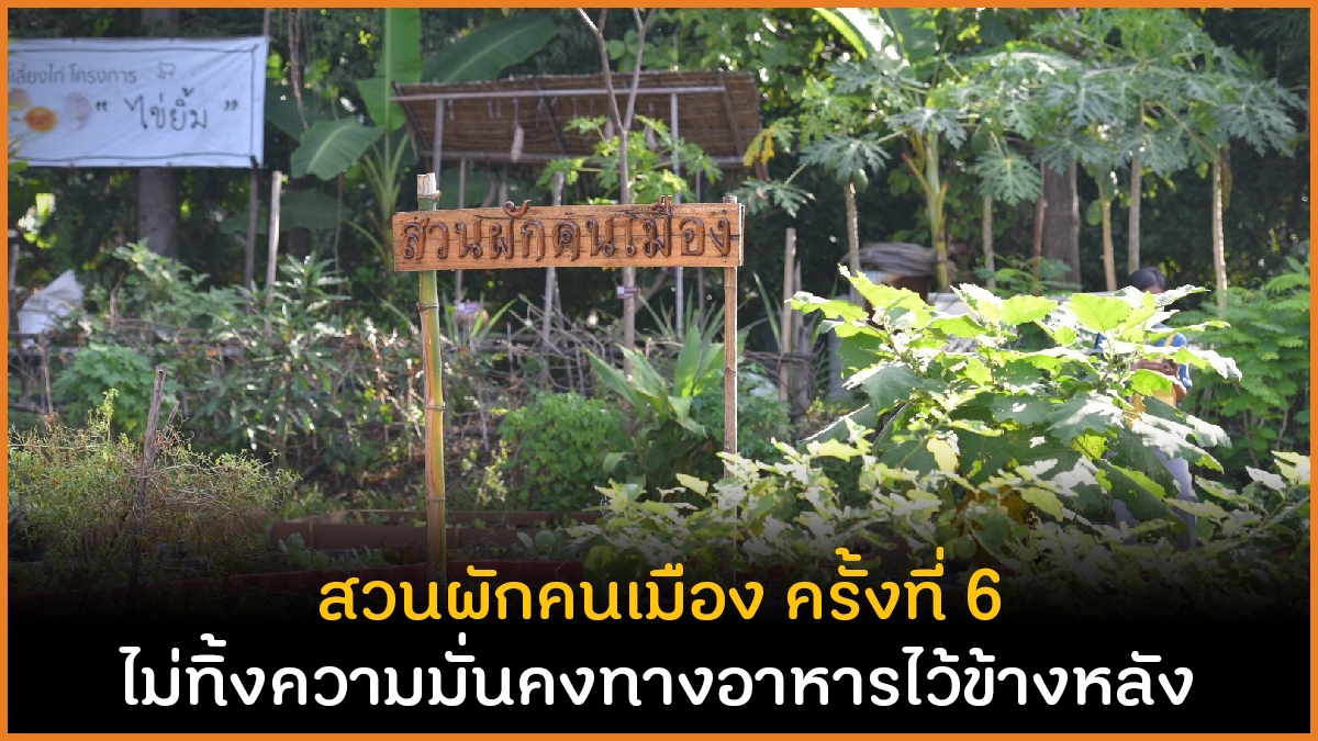 สวนผักคนเมือง ครั้งที่ 6 ไม่ทิ้งความมั่นคงทางอาหารไว้ข้างหลัง thaihealth