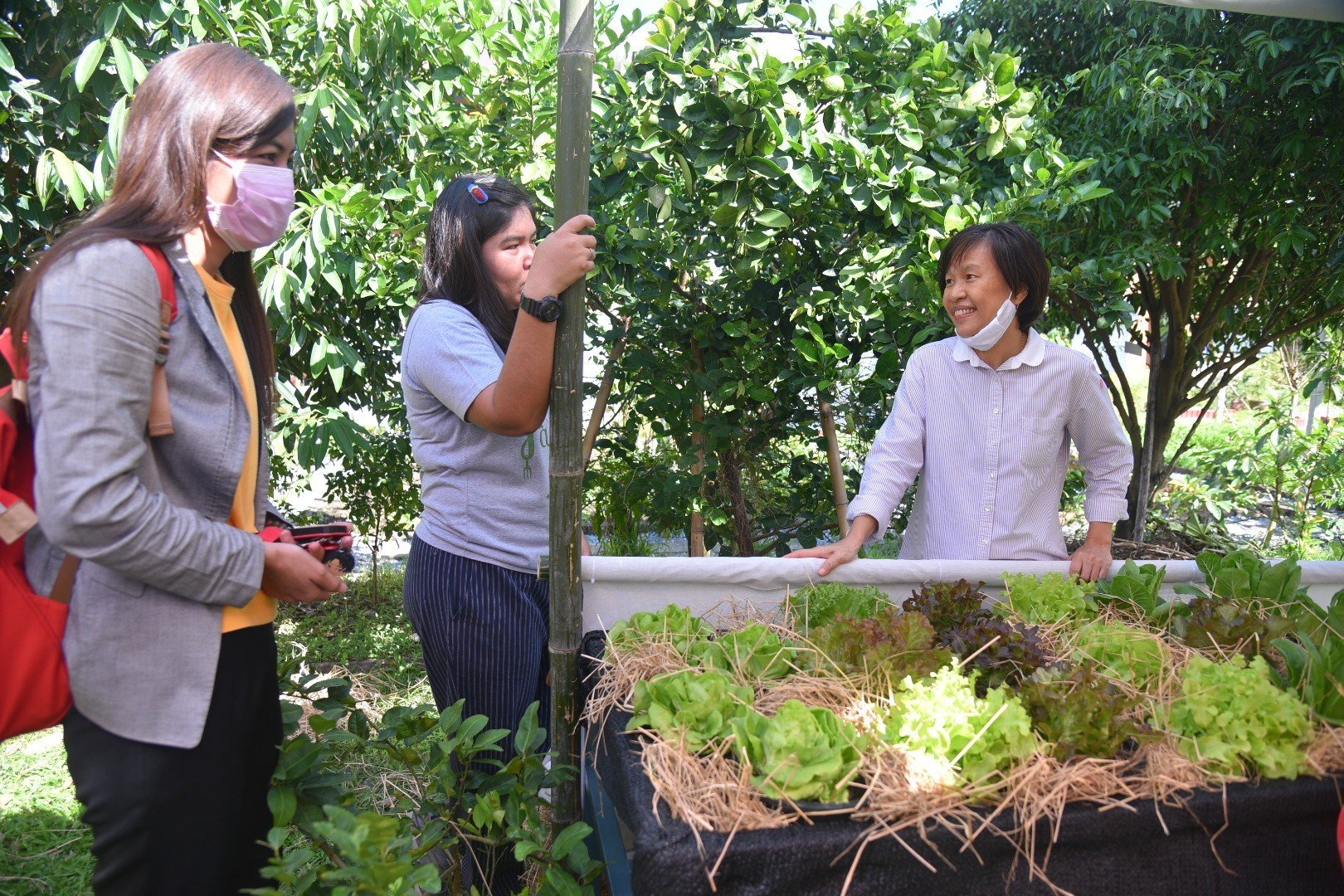 สวนผักคนเมือง ครั้งที่ 6 ไม่ทิ้งความมั่นคงทางอาหารไว้ข้างหลัง thaihealth