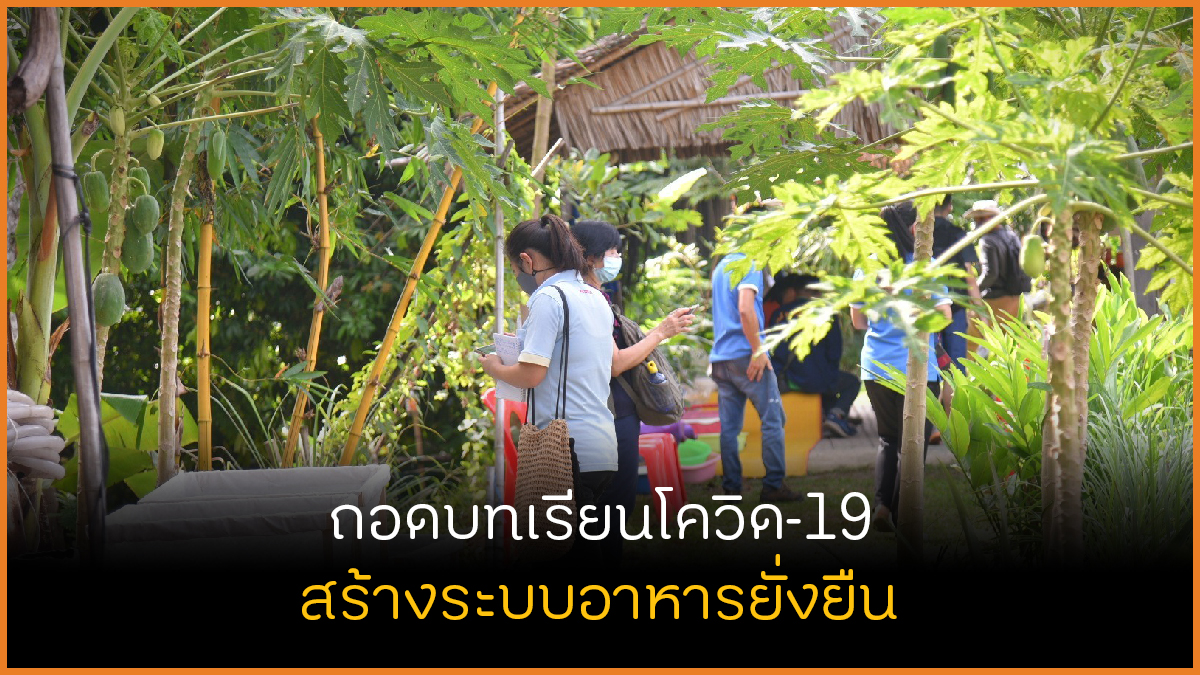 ถอดบทเรียนโควิด-19 สร้างระบบอาหารยั่งยืน thaihealth