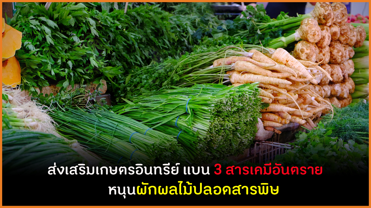 ส่งเสริมเกษตรอินทรีย์ แบน 3 สารเคมีอันตราย  หนุนผักผลไม้ปลอดสารพิษ  thaihealth