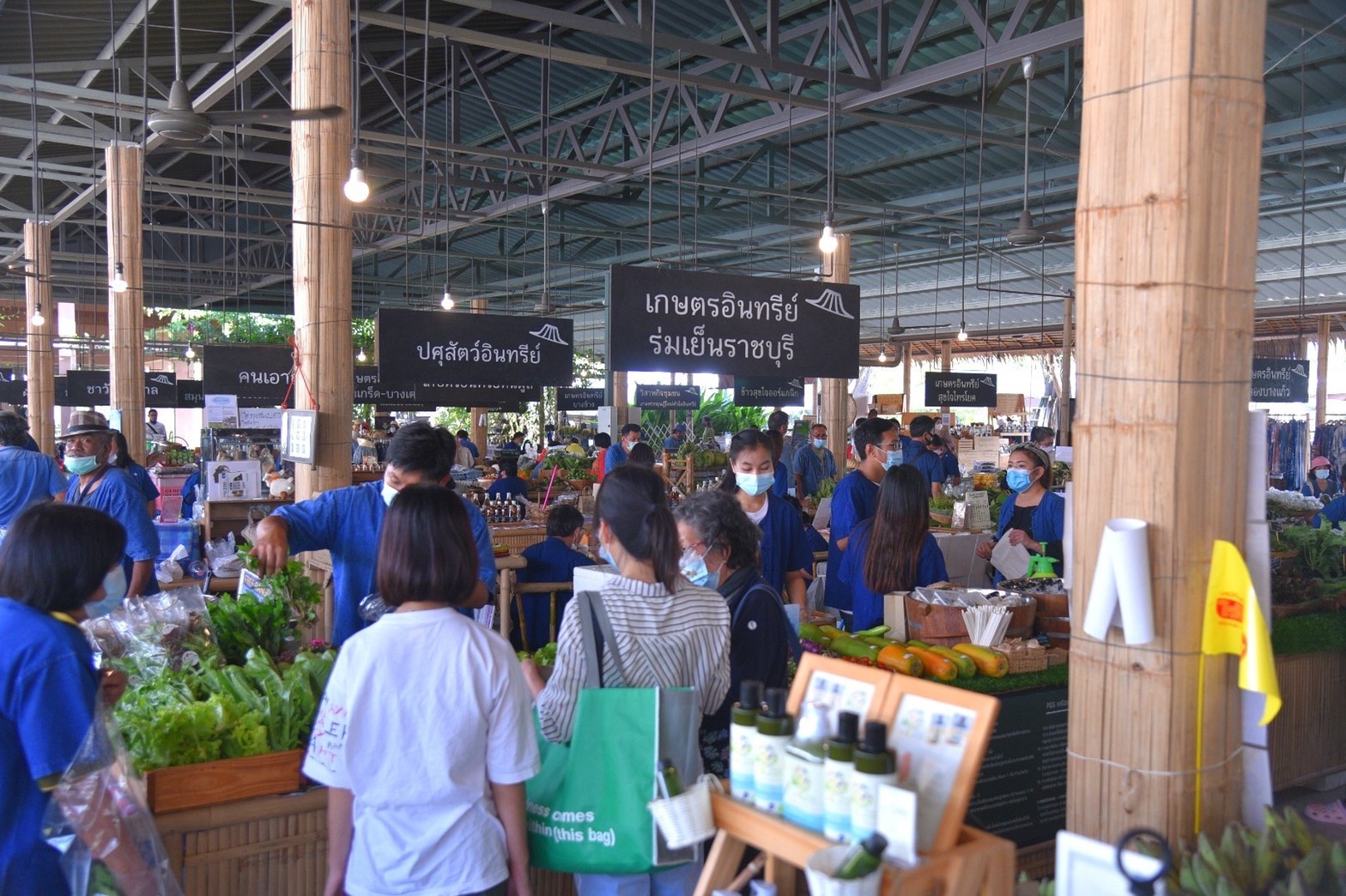 สสส.-มูลนิธิสังคมสุขใจ ขับเคลื่อนอาหารอินทรีย์ thaihealth