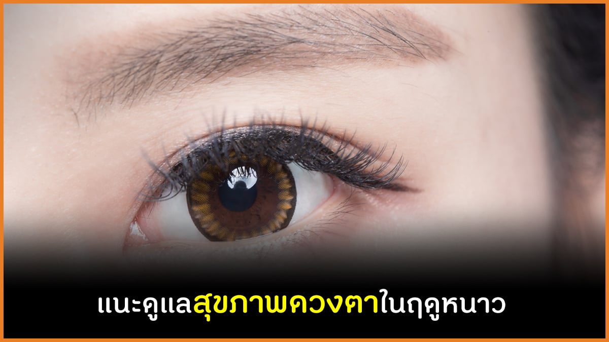 แนะดูแลสุขภาพดวงตาในฤดูหนาว thaihealth