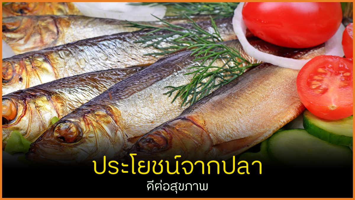 ประโยชน์จากปลา ดีต่อสุขภาพ thaihealth