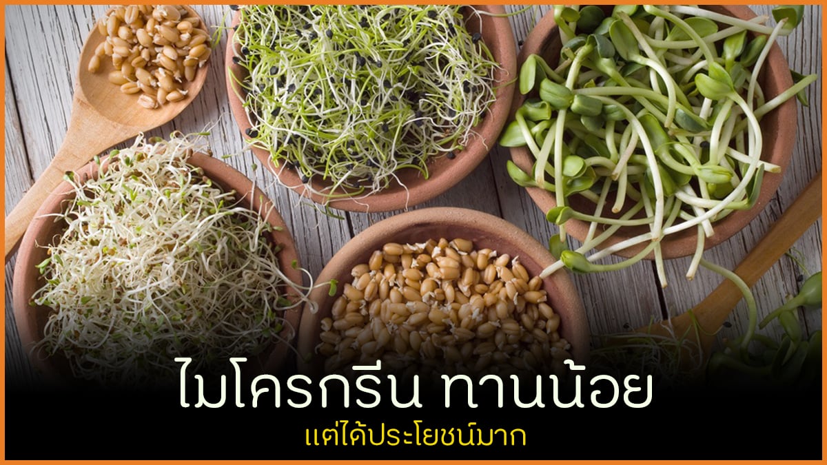 ไมโครกรีน ทานน้อยแต่ได้ประโยชน์มาก thaihealth