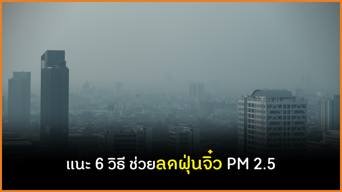 แนะ 6 วิธี ช่วยลดฝุ่นจิ๋ว PM 2.5 thaihealth