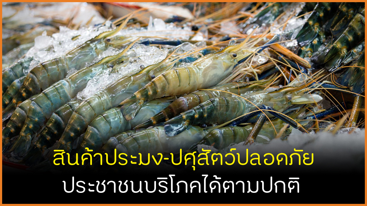 สินค้าประมง-ปศุสัตว์ปลอดภัย ประชาชนบริโภคได้ตามปกติ thaihealth