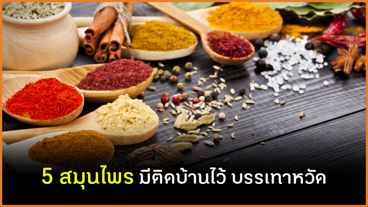 5 สมุนไพร มีติดบ้านไว้ บรรเทาหวัด thaihealth