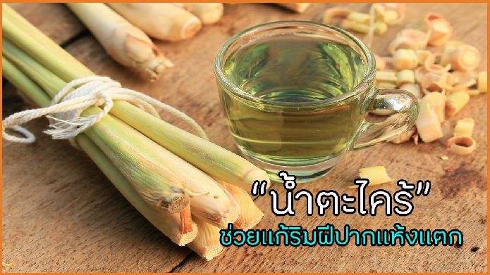 “น้ำตะไคร้” ช่วยแก้ริมฝีปากแห้งแตก thaihealth