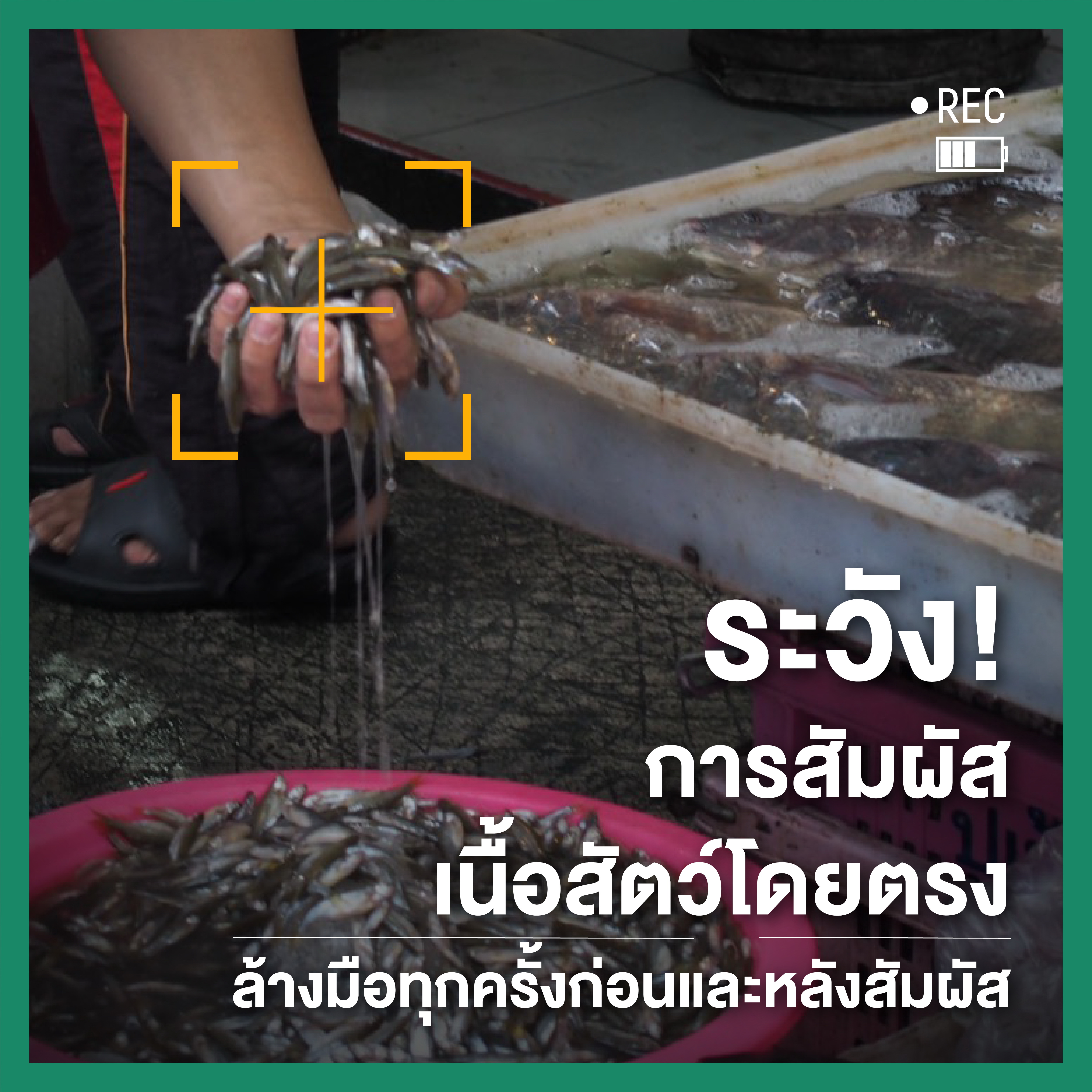 ในตลาดคุณเสี่ยงรับเชื้อ (โควิด)จากอะไรได้บ้าง thaihealth