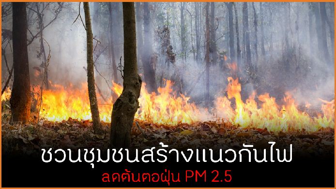 ชวนชุมชนสร้างแนวกันไฟ ลดต้นตอฝุ่น PM 2.5 thaihealth