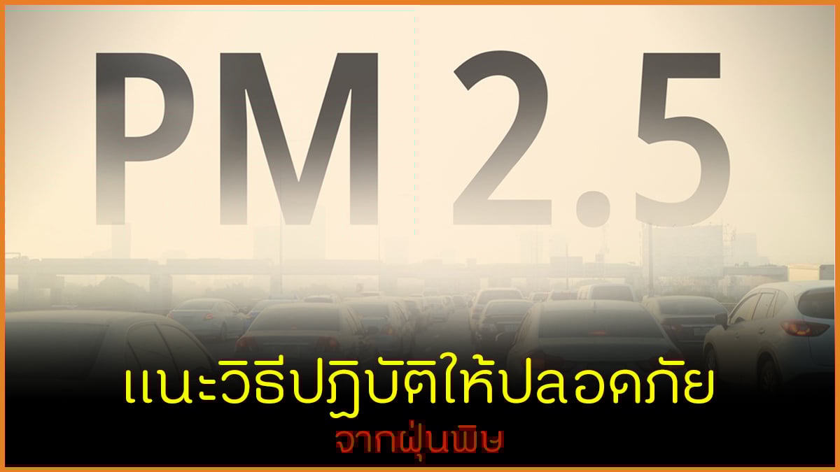 แนะวิธีปฏิบัติให้ปลอดภัยจากฝุ่นพิษ thaihealth