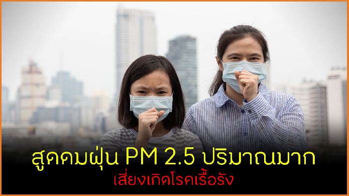 สูดดมฝุ่น PM 2.5 ปริมาณมาก กระทบอวัยวะร่างกาย thaihealth