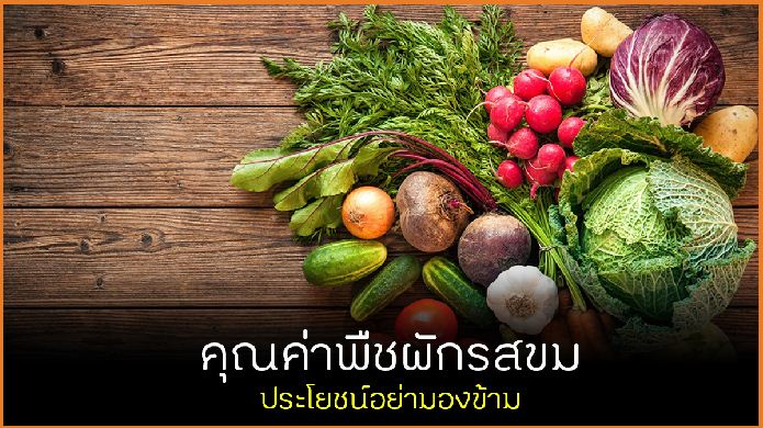 คุณค่าพืชผักรสขม ประโยชน์อย่ามองข้าม thaihealth