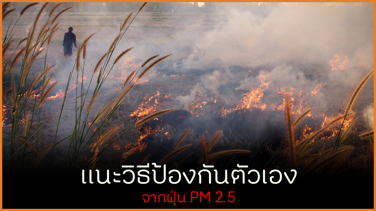 แนะวิธีป้องกันตัวเอง จากฝุ่น PM 2.5 thaihealth