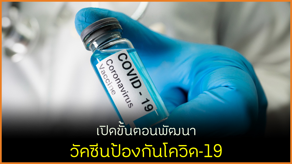 เปิดขั้นตอนพัฒนา วัคซีนป้องกันโควิด-19 thaihealth
