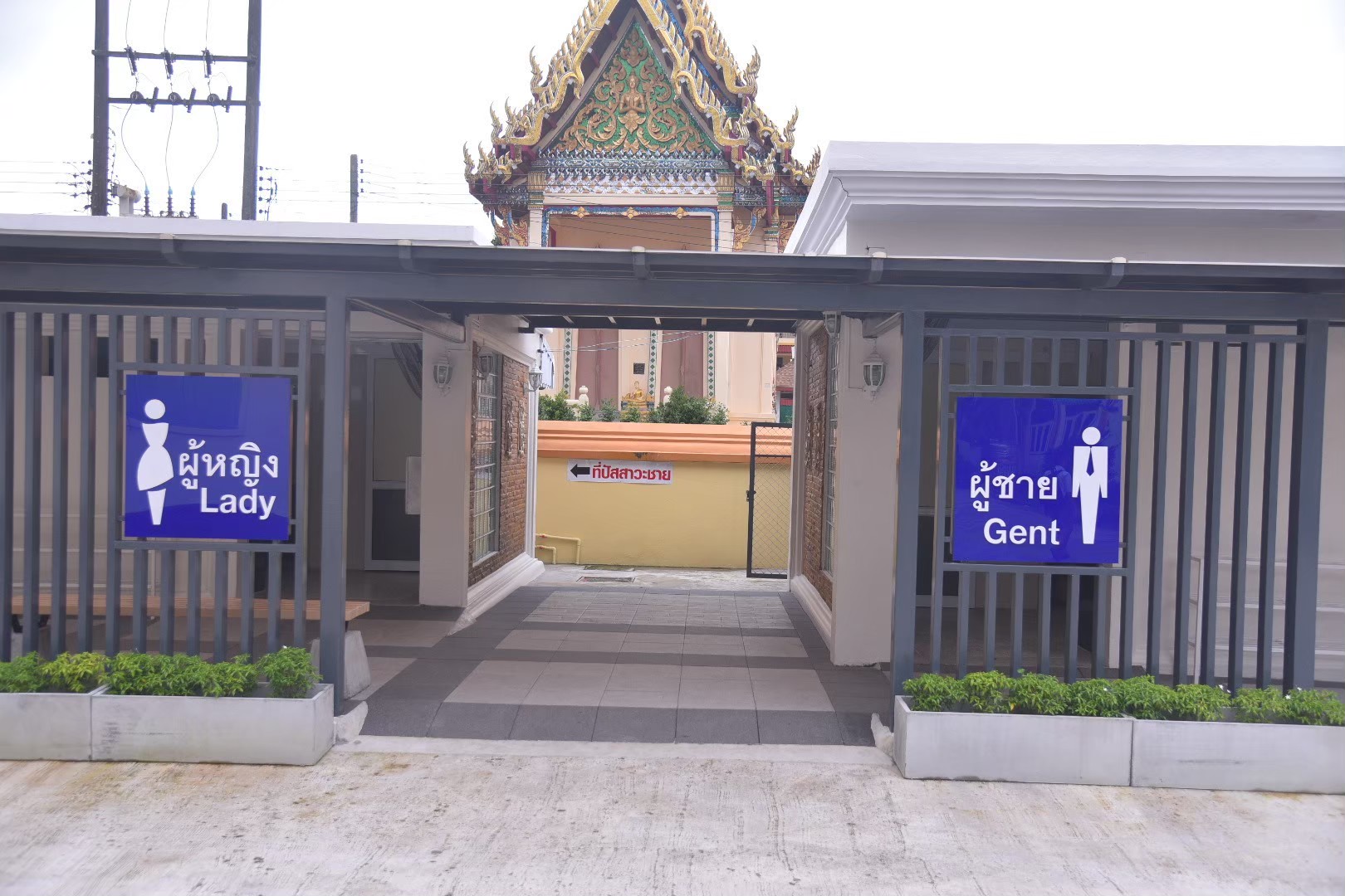 Universal Design เข้าถึงง่าย ไปได้ทุกที่ thaihealth