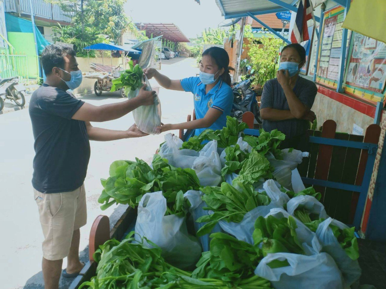 สสส.และเครือข่ายสวนผักคนเมือง ปันอาหารบรรเทาภัยโควิด thaihealth
