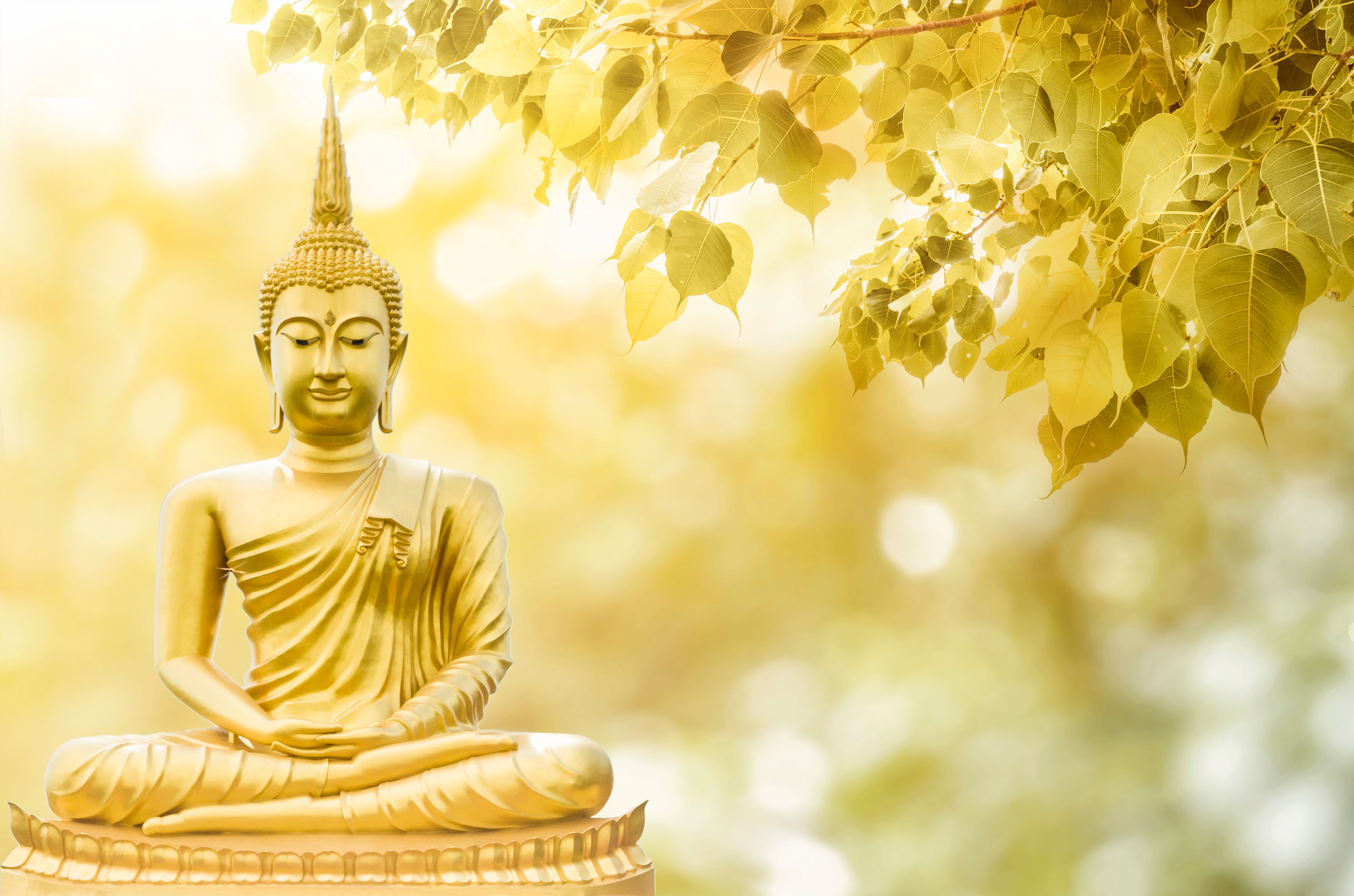ธรรมะนำชีวิต สู้โควิด-19 thaihealth