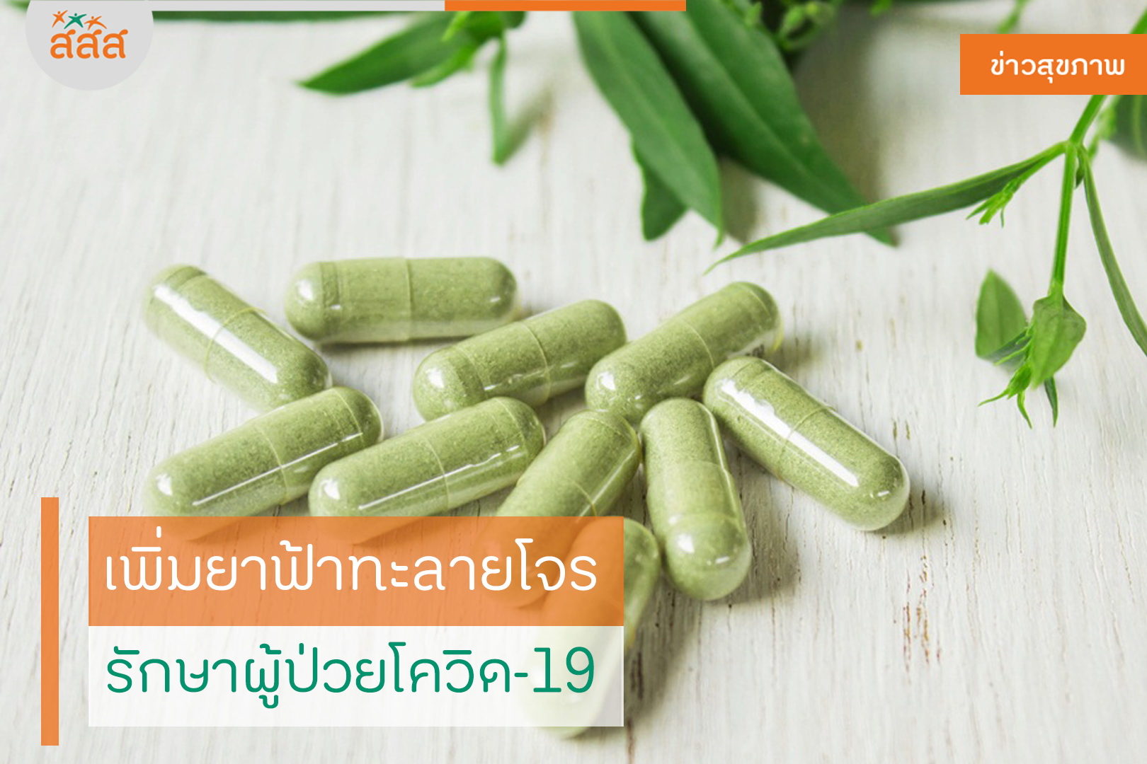 เพิ่มยาฟ้าทะลายโจร รักษาผู้ป่วยโควิด-19 thaihealth