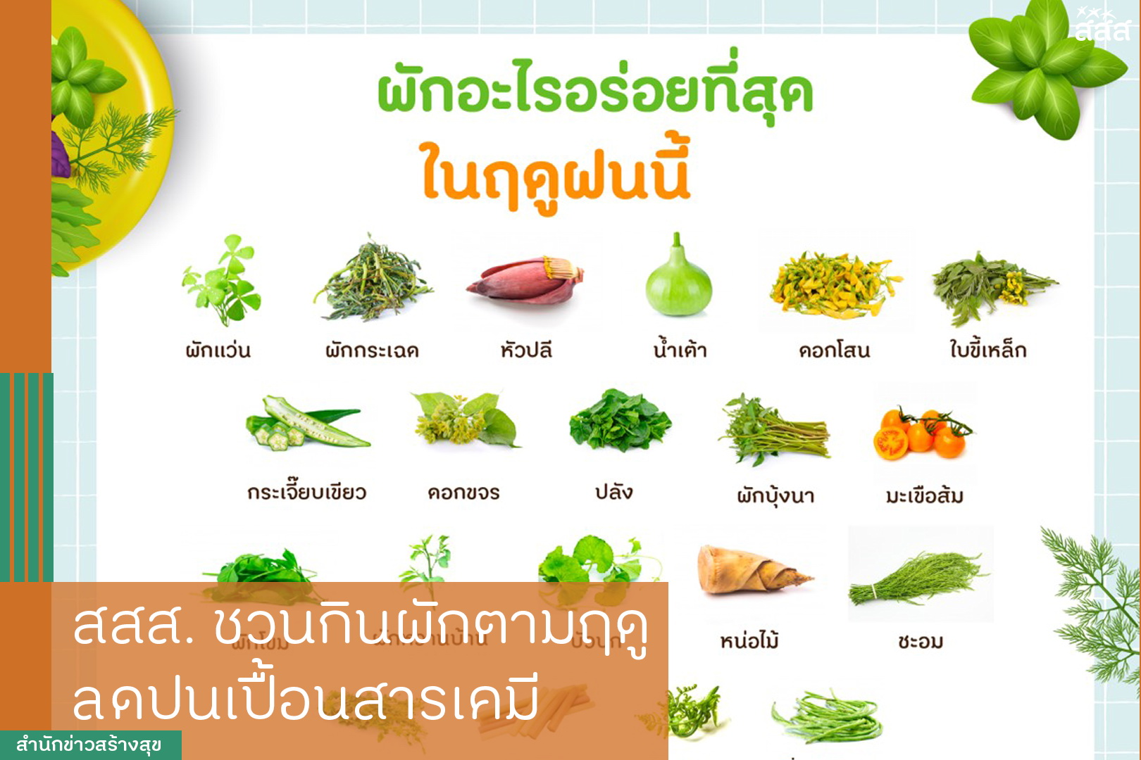สสส.ชวนกินผักตามฤดู ลดปนเปื้อนสารเคมี thaihealth