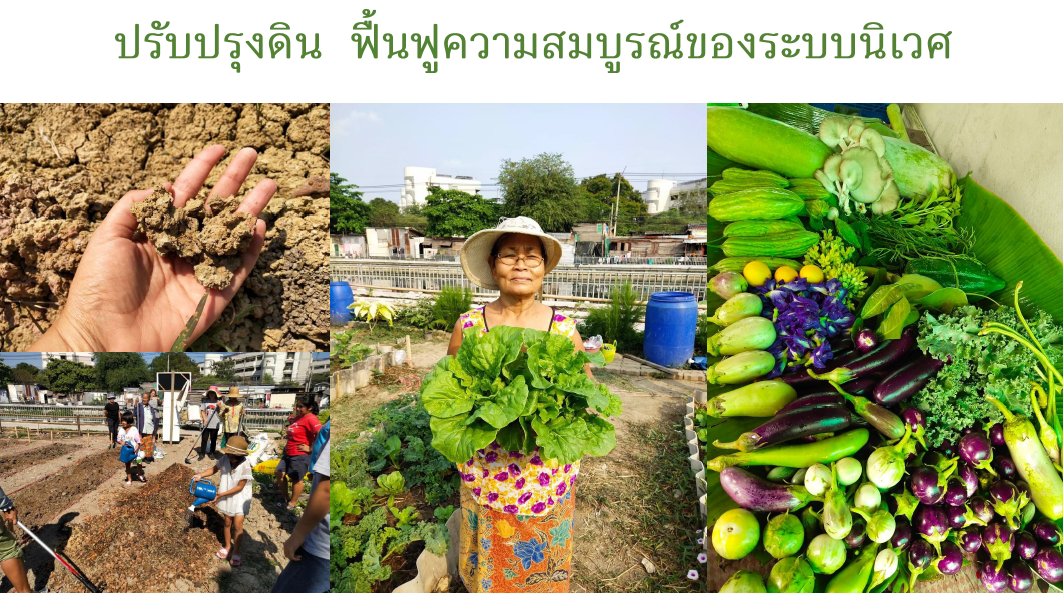 “ไทยพร้อม” หนุนผักและผลไม้ปลอดภัย เป็นวาระแห่งชาติ thaihealth