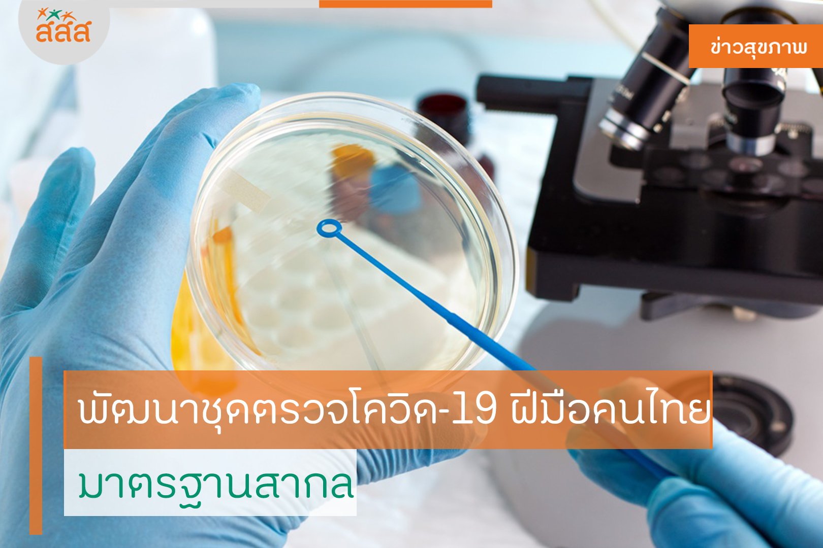 พัฒนาชุดตรวจโควิด-19 ฝีมือคนไทย มาตรฐานสากล  thaihealth