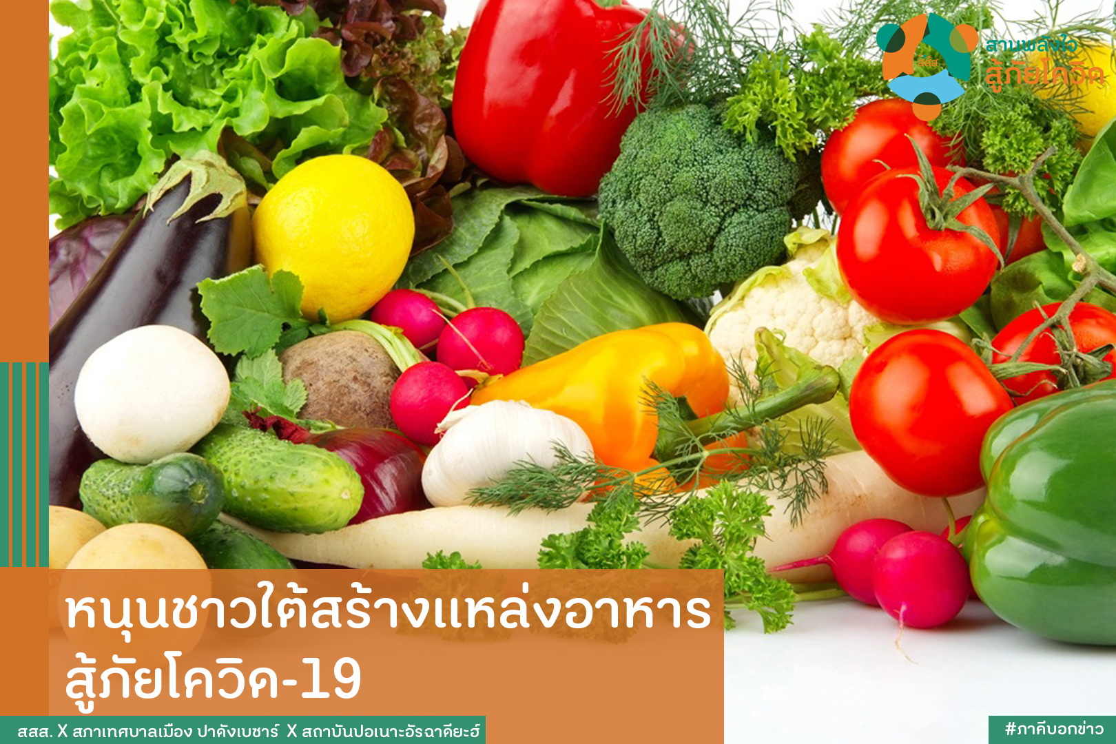 หนุนชาวใต้สร้างแหล่งอาหาร สู้ภัยโควิด-19 thaihealth