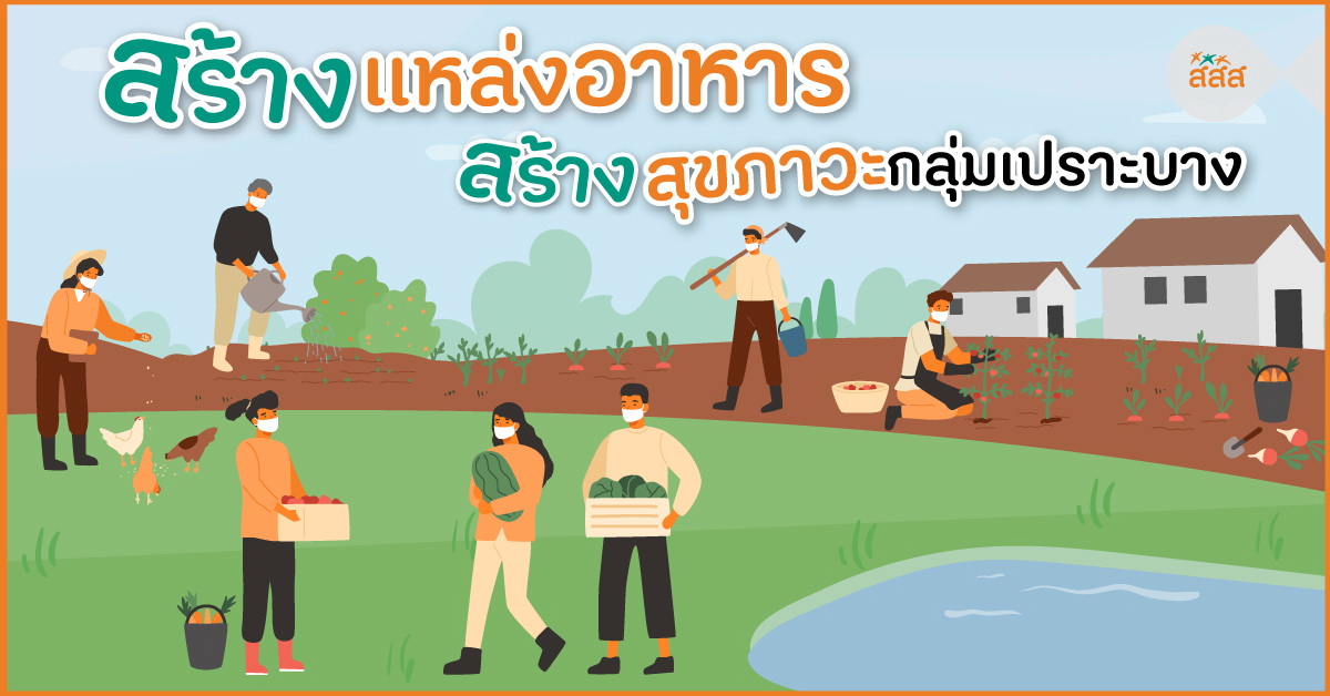 สร้างแหล่งอาหาร สร้างสุขภาวะกลุ่มเปราะบาง thaihealth