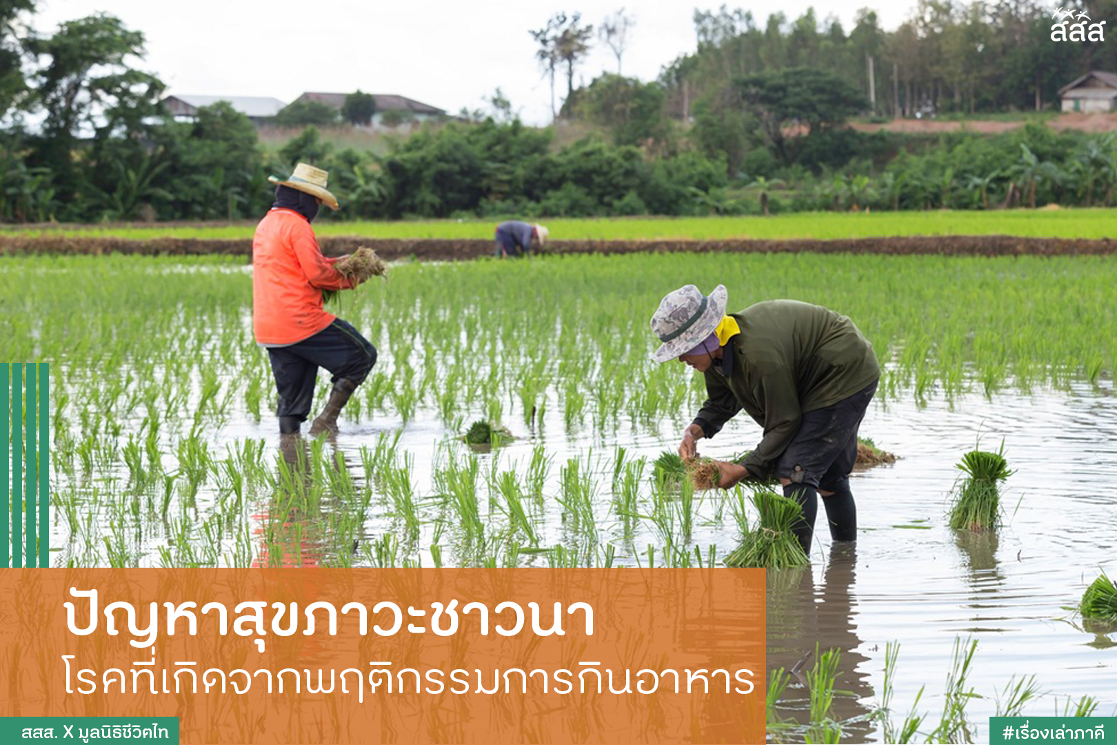 ปัญหาสุขภาวะชาวนา โรคที่เกิดจากพฤติกรรมการกินอาหาร thaihealth