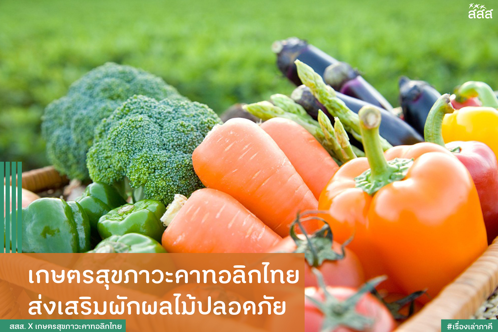 เกษตรสุขภาวะคาทอลิกไทย  ส่งเสริมผักผลไม้ปลอดภัย thaihealth
