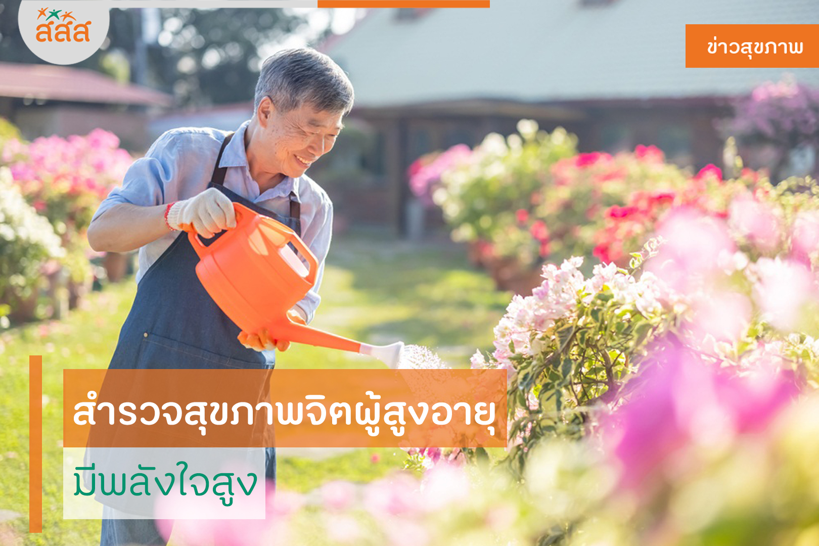 สำรวจสุขภาพจิตผู้สูงอายุ มีพลังใจสูง thaihealth