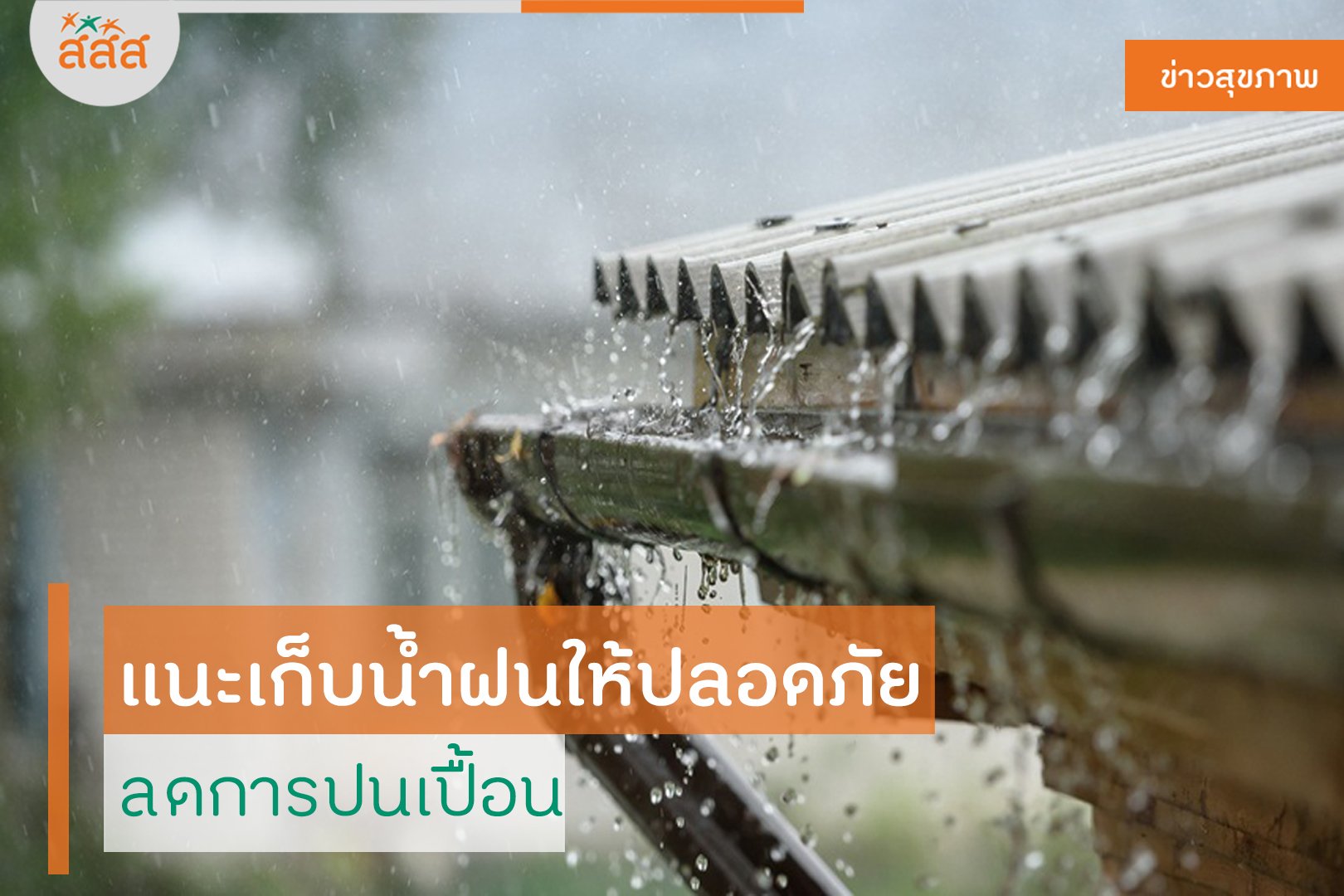 แนะเก็บน้ำฝนให้ปลอดภัย ลดการปนเปื้อน thaihealth