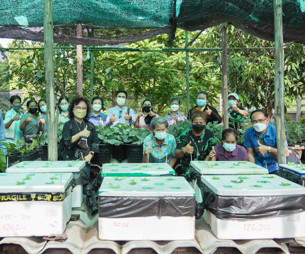 สร้างแหล่งอาหารปลอดภัย สร้างสูงวัยสุขภาพดี thaihealth