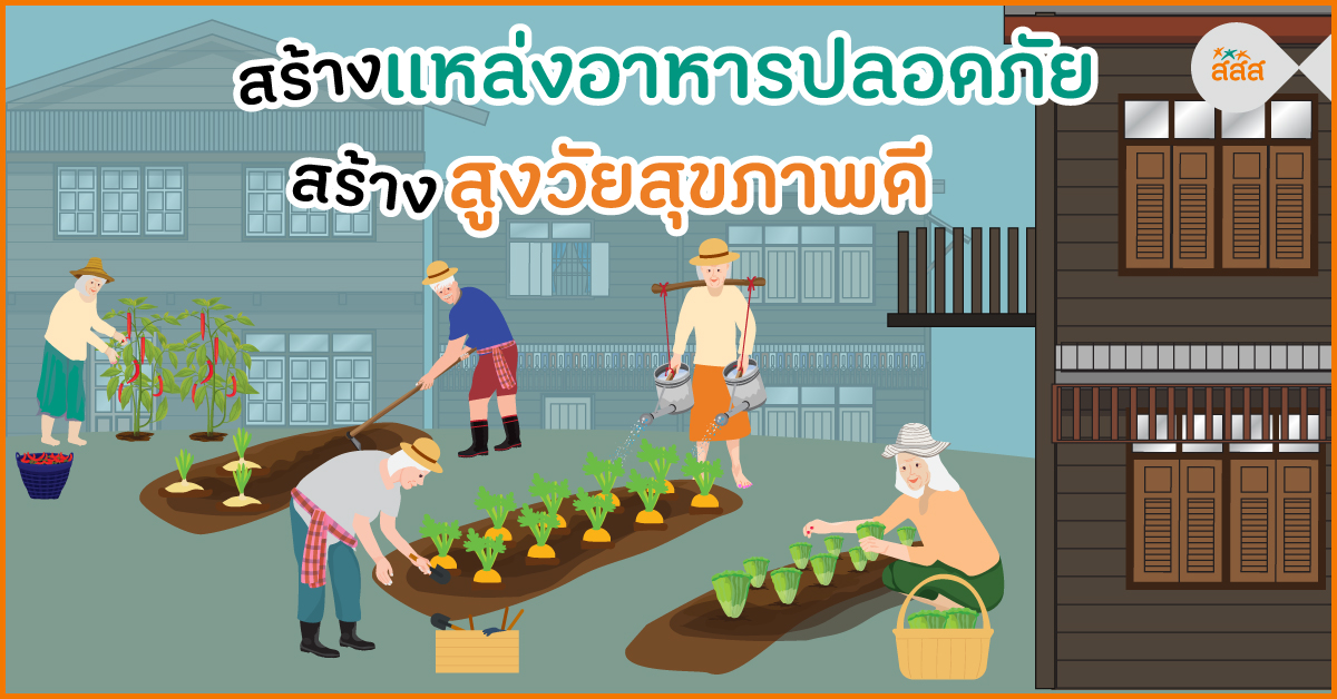 สร้างแหล่งอาหารปลอดภัย สร้างสูงวัยสุขภาพดี thaihealth