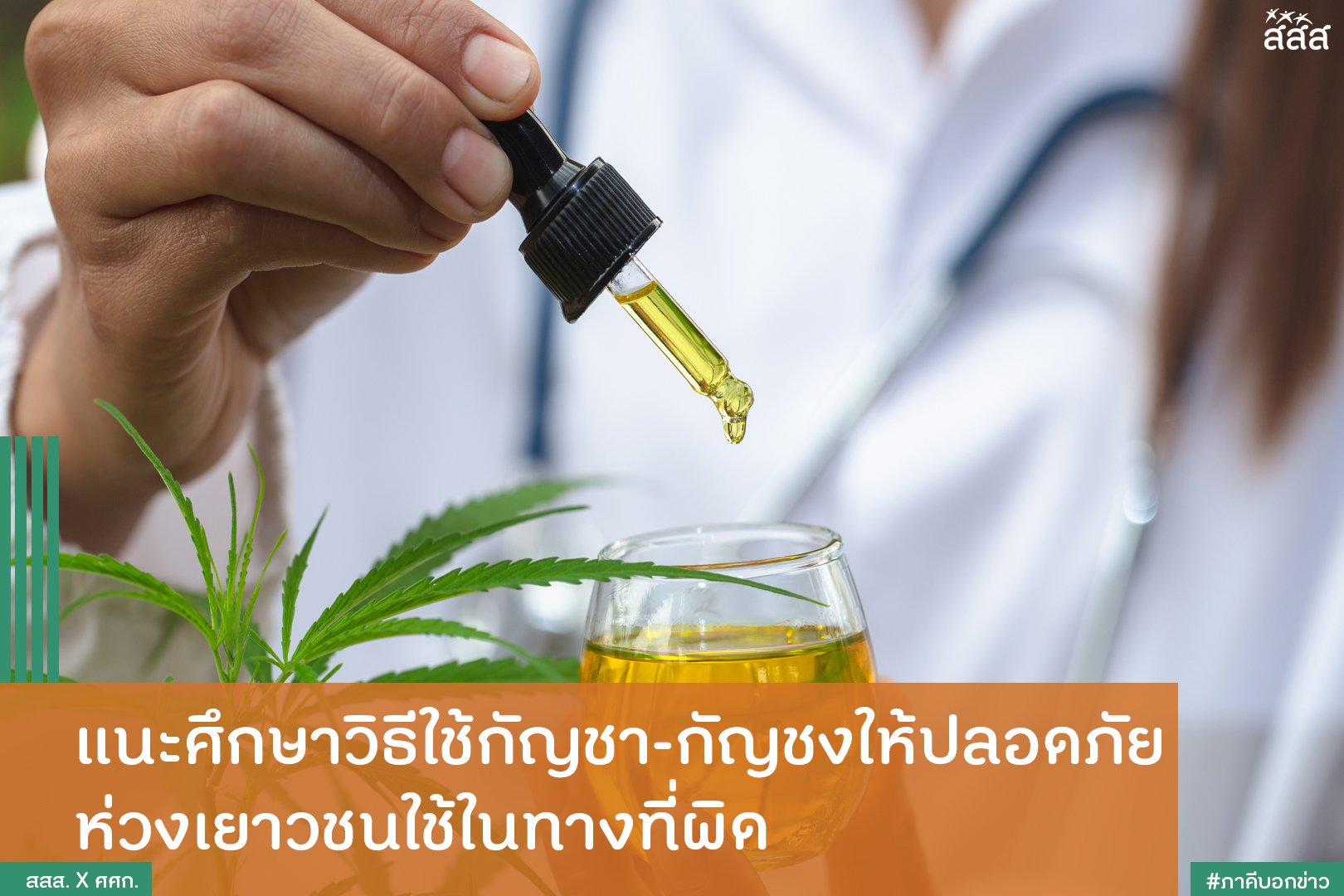 แนะศึกษาวิธีใช้กัญชา-กัญชงให้ปลอดภัย ห่วงเยาวชนใช้ในทางที่ผิด thaihealth