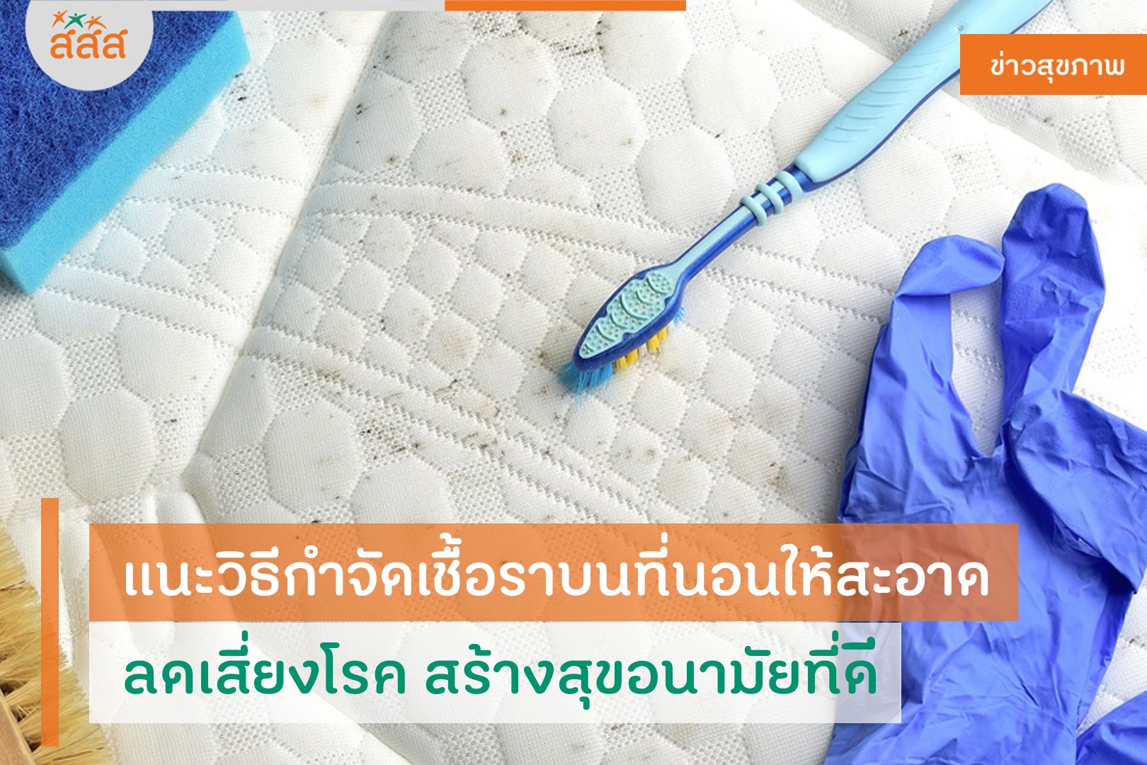 แนะวิธีกำจัดเชื้อราบนที่นอนให้สะอาด ลดเสี่ยงโรค สร้างสุขอนามัยที่ดี thaihealth