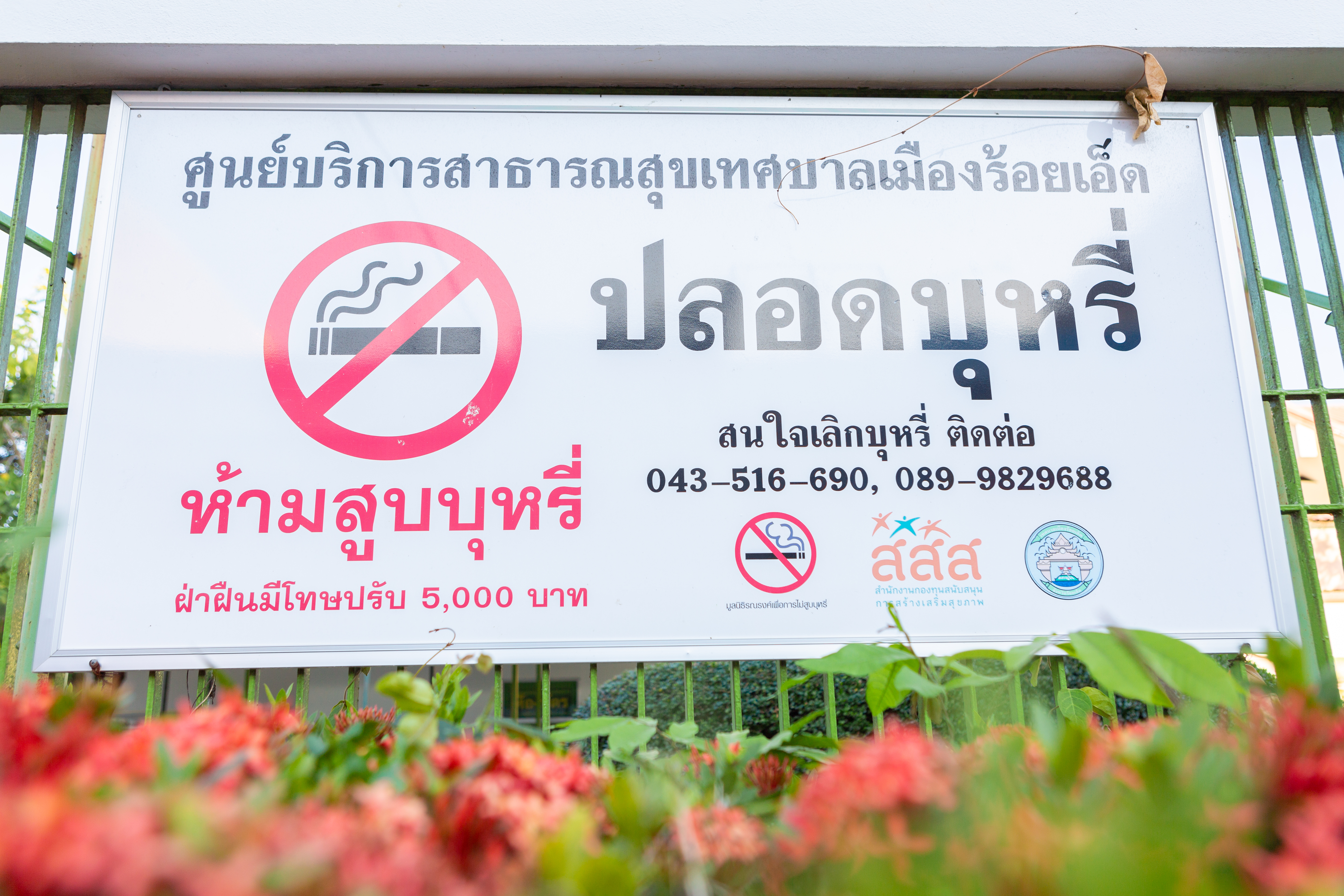 ร้อยเอ็ดตั้งคลินิกเลิกบุหรี่แห่งแรกของไทย เดินหน้าลดปริมาณผู้สูบบุหรี่ thaihealth