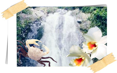 ชาร์จพลังกาย-ใจ ที่ 4 จ.ภาคใต้