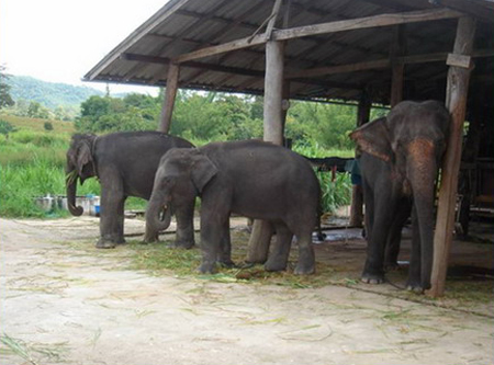 ชาร์จพลังกาย-ใจ ที่ 4 จ.ภาคเหนือ