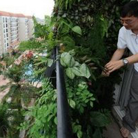 ภัยเงียบแสนร้ายที่คาดไม่ถึง “มลพิษทางอากาศ”